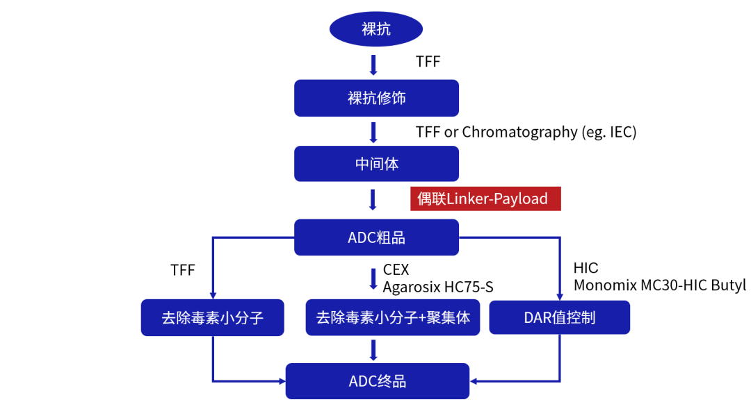 DM_20250829133051_004.png